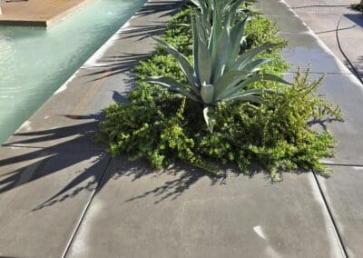 Pool Deck & Patio Pressure Washing Scottsdale