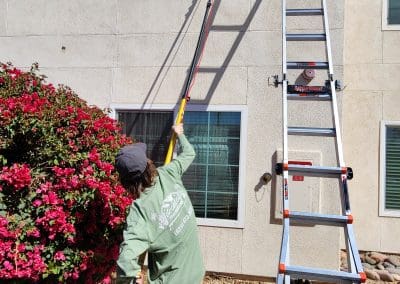 Residential Window Cleaning